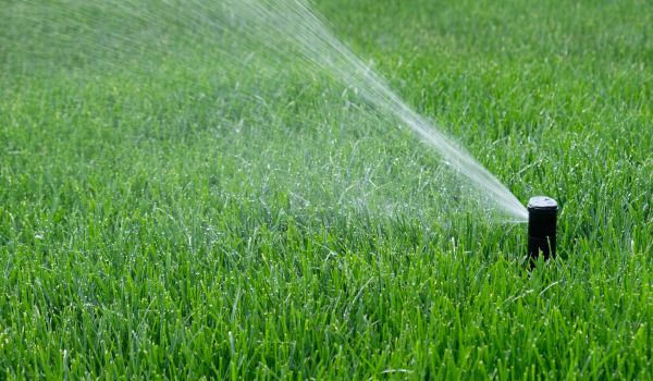Grow your Water Sprinkler Installation business