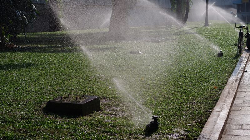 Water Sprinkler Installation