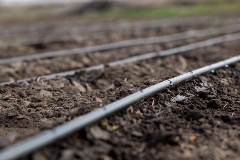 Field Irrigation Installation in Ventura County, CA
