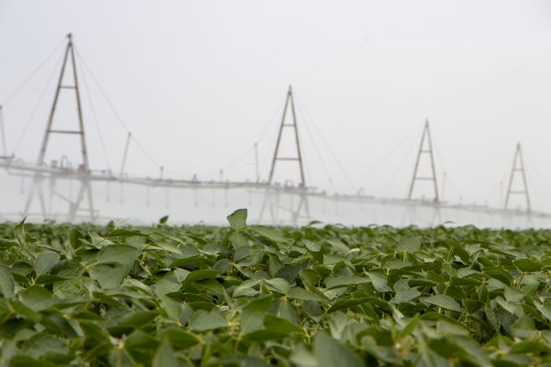 Garden Irrigation Installation