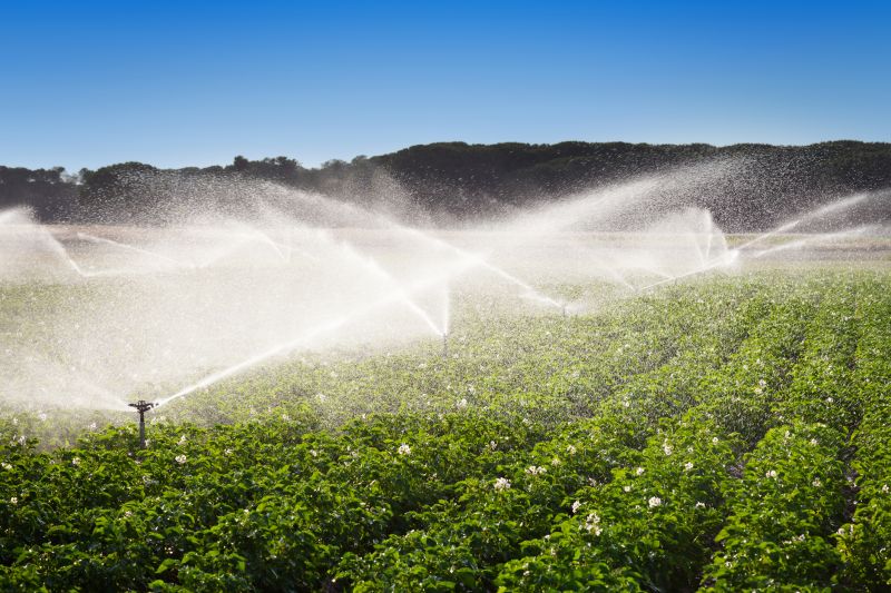 Mist Irrigation Installation in Ventura County, CA