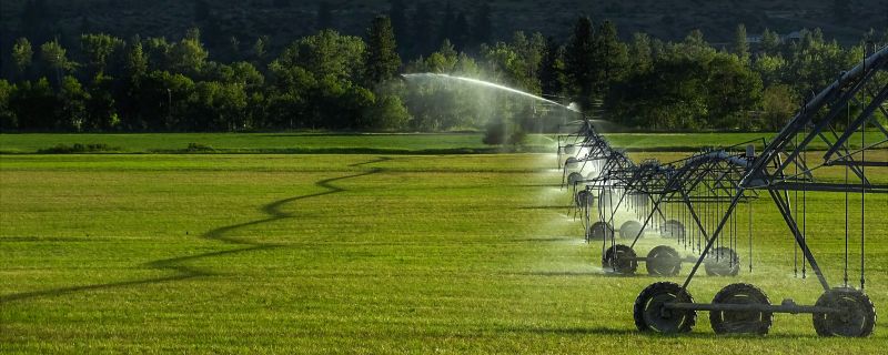 Mist Irrigation Installation in Aiken, SC