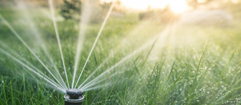Sprinkler Line Replacement in Honolulu, HI